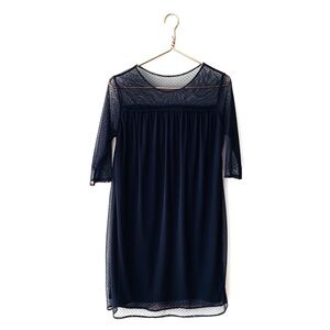 Leota | Mesh Swiss Polka Dot Shift Dress Black